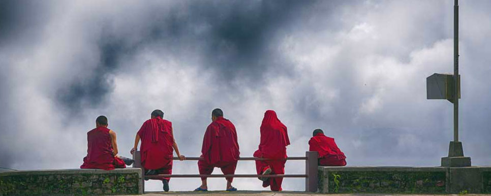 plan sunderbans tour